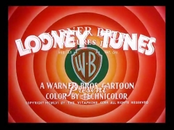 کایوت و رودرانر (فصل 1 - قسمت 9)